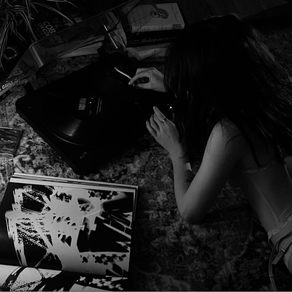 Meet your Posher, Belle - Picture 1 of 1